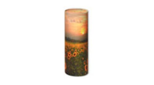 Click Here To Enlarge This Photo Of Sunflower Scatter Tube