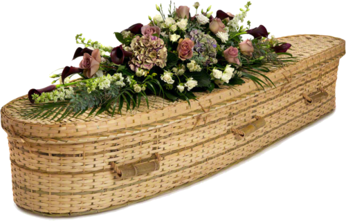 Click Here To Enlarge This Photo Of Teardrop bamboo coffin