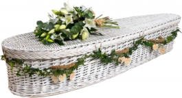 White willow coffin